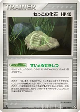 ねっこの化石