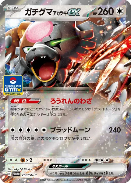 ガチグマ アカツキex