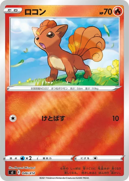 ロコン