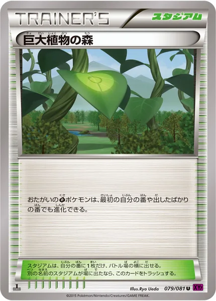 巨大植物の森