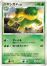 ハヤシガメ
