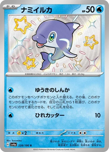 ナミイルカ