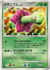 メガニウム