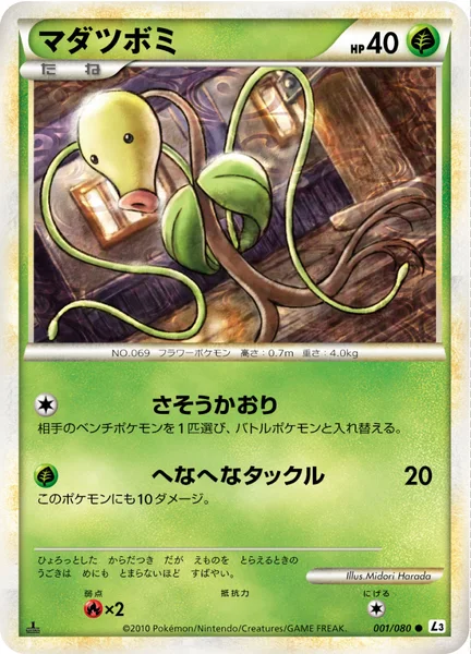 マダツボミ