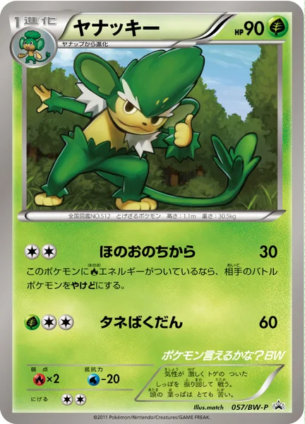 ヤナッキー