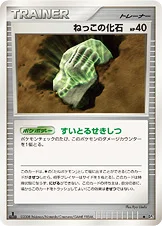 ねっこの化石