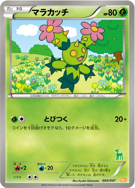 マラカッチ
