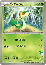 ツタージャ