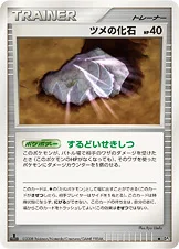 ツメの化石
